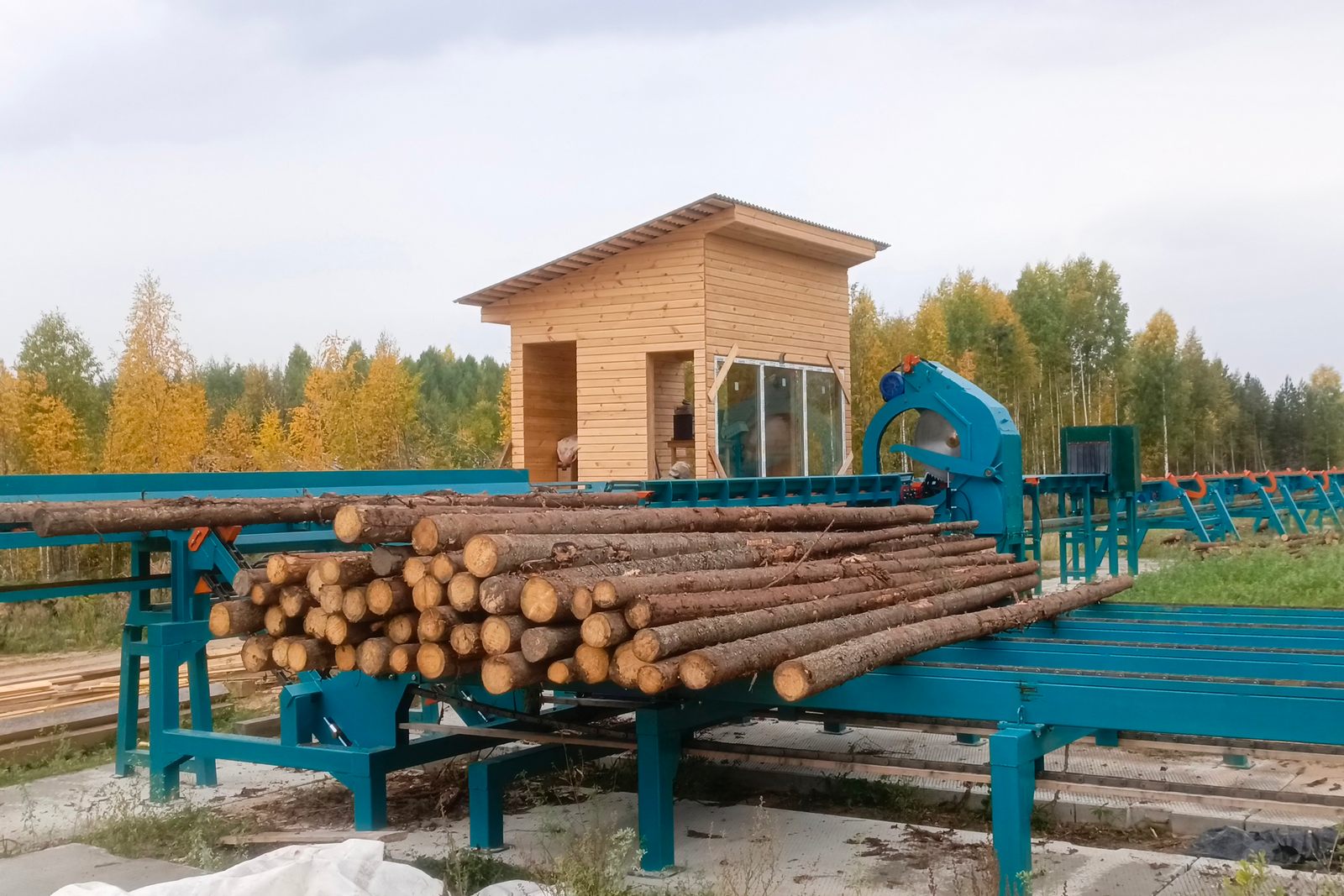 Линия раскряжевки бревна Cronver RB 1250