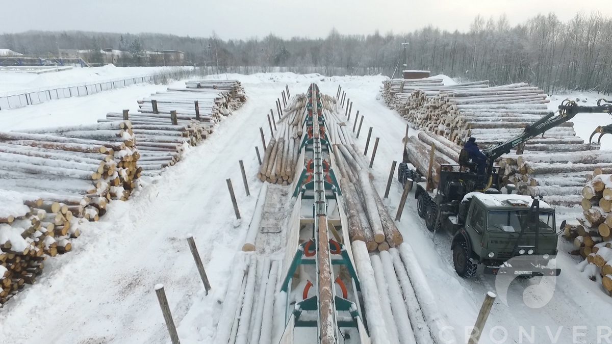 Автоматизированная линия сортировки круглого леса Cronver LSB-16